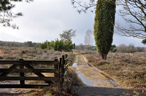 zeegae|zeegse drenthe.